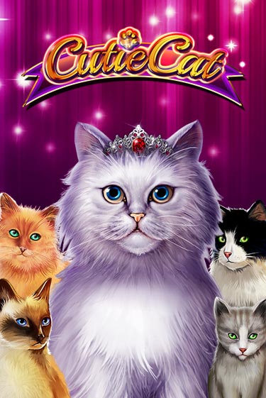 Cutie Cat бесплатная онлайн игра | Фламинго Казино без регистрации