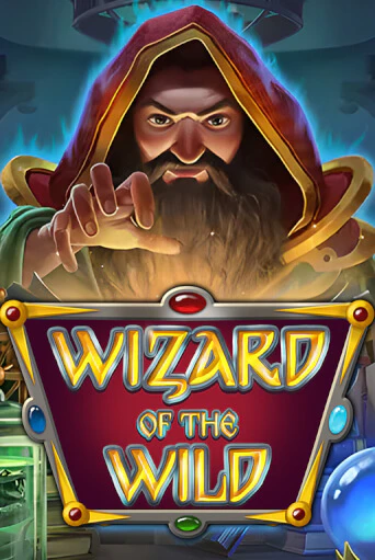 Wizard of the Wild бесплатная онлайн игра | Фламинго Казино без регистрации