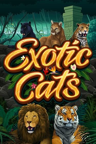 Exotic Cats бесплатная онлайн игра | Фламинго Казино без регистрации