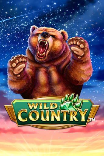 Wild Country бесплатная онлайн игра | Фламинго Казино без регистрации